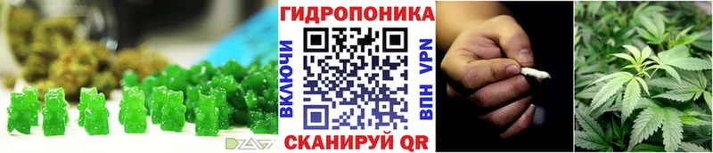 Canna-Cookies марихуана  цены наркотик  нарко площадка официальный сайт  Новозыбков 