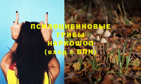 кокс Алексин