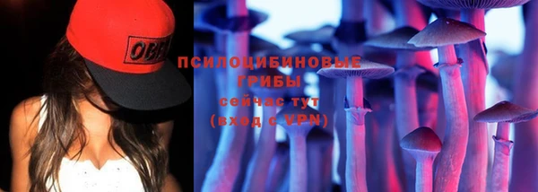 круглые Алексеевка