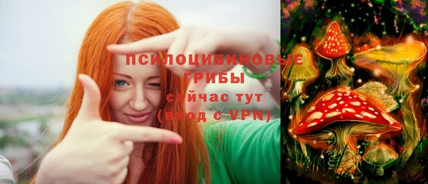 кокс Алексин