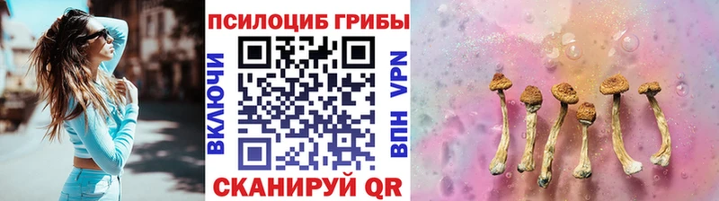 Галлюциногенные грибы Cubensis  Новозыбков 
